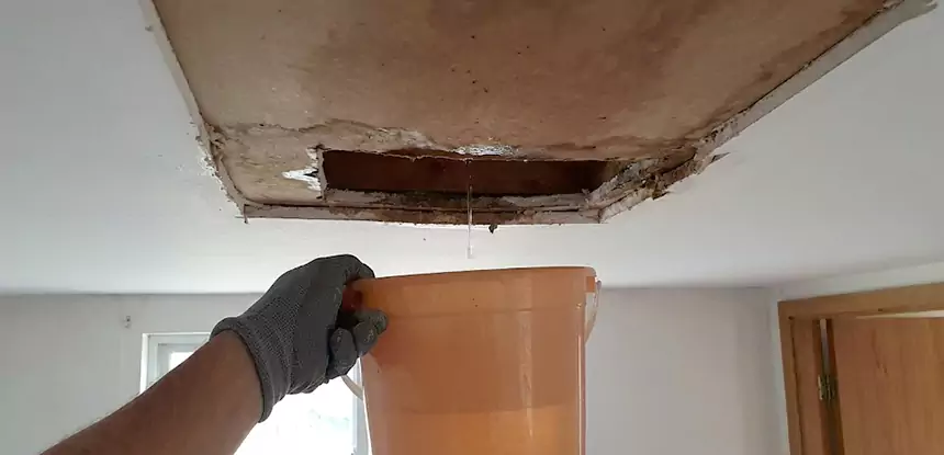 Ceiling Mold Repair Lindale
