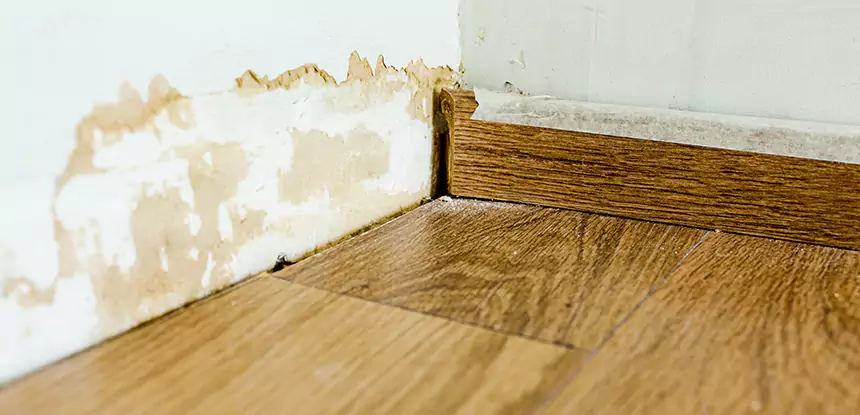 Professional Fix Water Damaged Wood Services in Lindale, GA