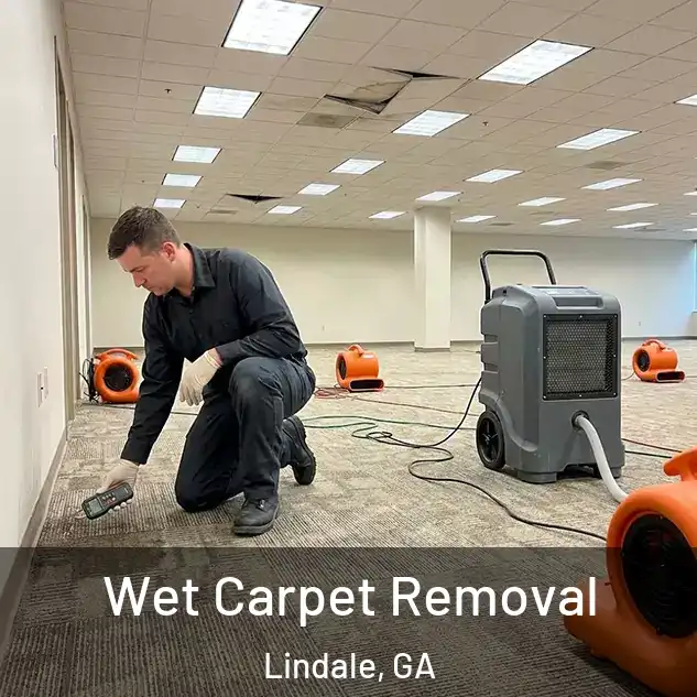  Wet Carpet Removal Lindale, GA